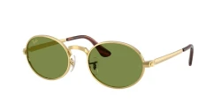 משקפי שמש | Ray-Ban רייבן | RB 3931 001/4E 54-21-145