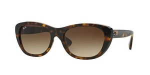  | Ray-Ban רייבן | RB 4227 710/13 55-17-140