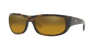  | Ray-Ban רייבן | RB 4283CH 710/A3 64-18-125