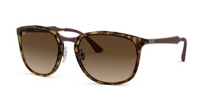  | Ray-Ban רייבן | RB 4299 710/13 56-20-145