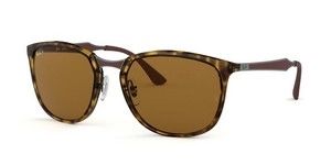  | Ray-Ban רייבן | RB 4299 710/83 56-20-145