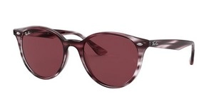  | Ray-Ban רייבן | RB 4305 643175 53-19-145