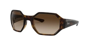  | Ray-Ban רייבן | RB 4337 710/13 59-21-125