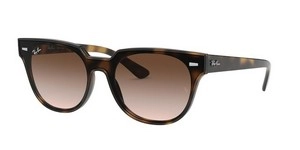  | Ray-Ban רייבן | RB 4368N 710/13 39-139-145