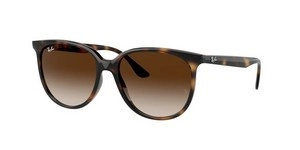 משקפי שמש | Ray-Ban רייבן | RB 4378 710/13 54-16-145