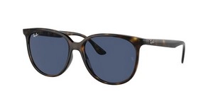 משקפי שמש | Ray-Ban רייבן | RB 4378 710/80 54-16-145