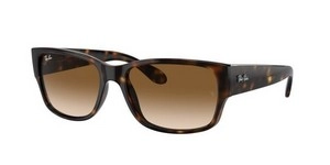  | Ray-Ban רייבן | RB 4388 710/51 58-18-145