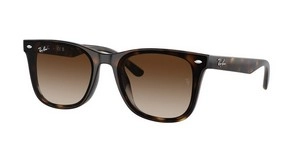 משקפי שמש | Ray-Ban רייבן | RB 4420 710/13 65-18-145