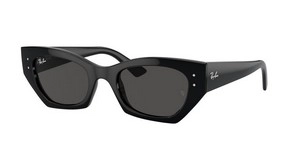 משקפי שמש | Ray-Ban רייבן | RB 4430 667787 49-22-145