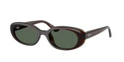 SunGlasses | Ray-Ban רייבן | RB 4441D 714/71 53-21-145