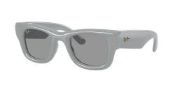 משקפי שמש | Ray-Ban רייבן | RB 4940 6876/1 50-23-150
