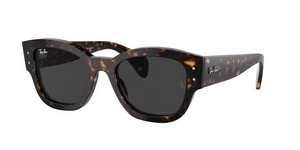 משקפי שמש | Ray-Ban רייבן | RB 7681S 902/48 52-20-145