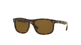 | Ray-Ban רייבן | RB 4226 710/73 59-16-145