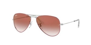  | Ray-Ban Junior רייבאן ג'וניור | RJ9506S 274/V0 50-13-120