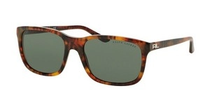  | Ralph Lauren ראלף לורן | RL8142 5017/71 56-18-140