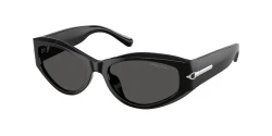 SunGlasses | Ralph Lauren ראלף לורן | RL8243U 5001/87 54-17-135