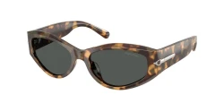 SunGlasses | Ralph Lauren ראלף לורן | RL8243U 6178/87 54-17-135