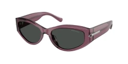 SunGlasses | Ralph Lauren ראלף לורן | RL8243U 6389/87 54-17-135
