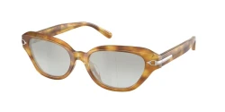 SunGlasses | Ralph Lauren ראלף לורן | RL8244U 6185/6V 53-17-145