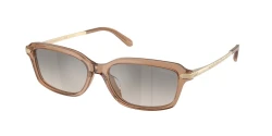 SunGlasses | Ralph Lauren ראלף לורן | RL8245U 6377/08 55-16-145