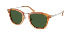SunGlasses | Ralph Lauren ראלף לורן | RL8246 6185/71 51-22-145