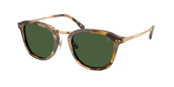 SunGlasses | Ralph Lauren ראלף לורן | RL8246 6339/71 51-22-145