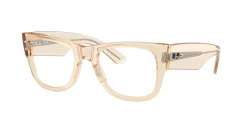EyeGlasses | Ray-Ban רייבן | RB 0840V 8539 51-21-145