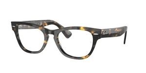  | Ray-Ban רייבן | RB 2201V 8116 54-20-145