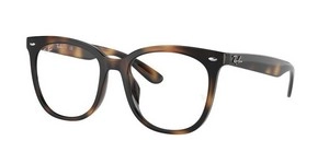 משקפי ראיה | Ray-Ban רייבן | RB 4379VD 2012 53-19-150