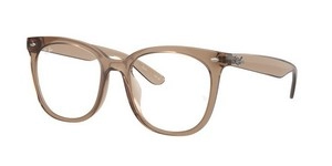 | Ray-Ban רייבן | RB 4379VD 8270 53-19-150