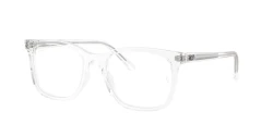 EyeGlasses | Ray-Ban רייבן | RB 5446 2001 53-19-145