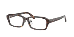EyeGlasses | Ray-Ban רייבן | RB 5458D 2012 54-17-145
