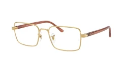 EyeGlasses | Ray-Ban רייבן | RB 6560 2500 54-19-145
