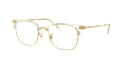 EyeGlasses | Ray-Ban רייבן | RB 7216 5762 53-20-145