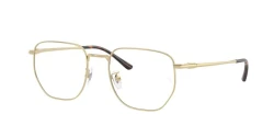 EyeGlasses | Ray-Ban רייבן | RB 8776D 1251 53-19-145