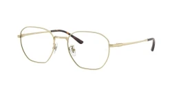 EyeGlasses | Ray-Ban רייבן | RB 8777D 1251 53-19-145
