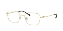 משקפי ראיה | Ray-Ban רייבן | RB 8784D 1251 54-18-145