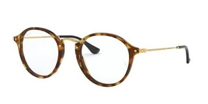  | Ray-Ban רייבן | RB 2447V 5494 49-21-145