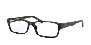  | Ray-Ban רייבן | RB 5169 2012 54-16-140