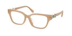 EyeGlasses | SWAROVSKI סברובסקי | SK2049D 2002 54-15-140