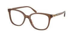 EyeGlasses | SWAROVSKI סברובסקי | SK2069 1067 53-17-145
