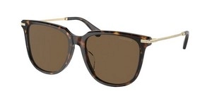 משקפי שמש | SWAROVSKI סברובסקי | SK6015D 100273 55-16-145