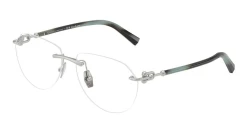 EyeGlasses | TIFFANY טיפאני | TF 1173-K 6213 57-15-140