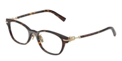 EyeGlasses | TIFFANY טיפאני | TF 2305-D 8015 49-18-140