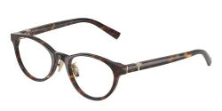 EyeGlasses | TIFFANY טיפאני | TF 2306-D 8015 49-19-140