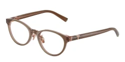 EyeGlasses | TIFFANY טיפאני | TF 2306-D 8255 49-19-140