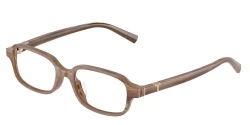 EyeGlasses | TIFFANY טיפאני | TF 2307-D 8435 52-17-145