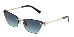 משקפי שמש | TIFFANY טיפאני | TF 3120 6021/9S 61-16-140