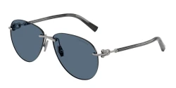 SunGlasses | TIFFANY טיפאני | TF 3124 6003/80 59-13-140
