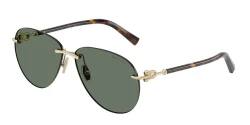 SunGlasses | TIFFANY טיפאני | TF 3124 6021/3H 59-13-140
